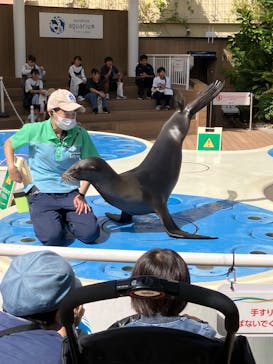 サンシャイン水族館に投稿された画像（2025/10/3）