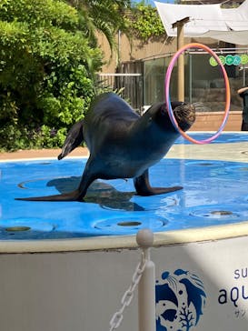 サンシャイン水族館に投稿された画像（2025/10/3）