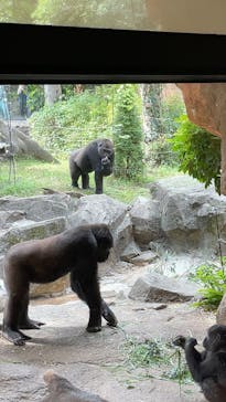 恩賜上野動物園に投稿された画像（2025/10/3）