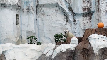 恩賜上野動物園に投稿された画像（2025/10/3）