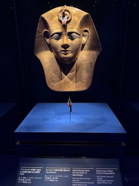 ACN ラムセス大王展 ファラオたちの黄金に投稿された画像（2025/10/3）