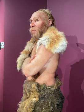 特別展「氷河期展 〜人類が見た4万年前の世界〜」（国立科学博物館）に投稿された画像（2025/10/3）