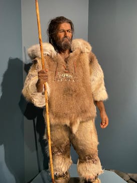 特別展「氷河期展 〜人類が見た4万年前の世界〜」（国立科学博物館）に投稿された画像（2025/10/3）