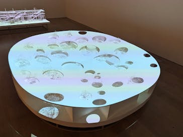 森美術館に投稿された画像（2025/10/3）