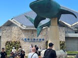 沖縄美ら海水族館に投稿された画像（2025/10/3）