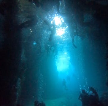 武藤潜水に投稿された画像（2025/10/3）