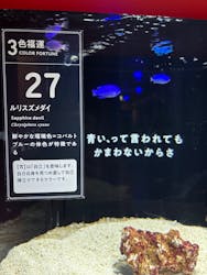 横浜開運水族館 フォーチュンアクアリウムに投稿された画像（2025/10/3）