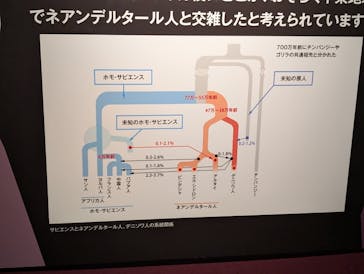 特別展「氷河期展 〜人類が見た4万年前の世界〜」（国立科学博物館）に投稿された画像（2025/10/3）