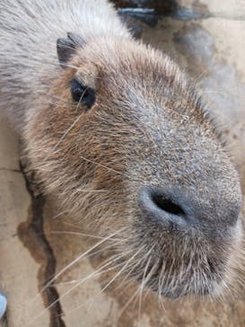 横浜・八景島シーパラダイスに投稿された画像（2025/10/3）