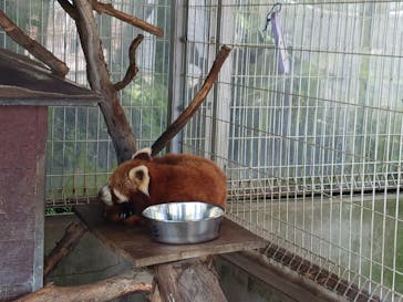 熱川バナナワニ園に投稿された画像（2025/10/3）