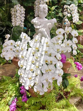 熱川バナナワニ園に投稿された画像（2025/10/3）