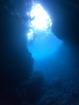 武藤潜水に投稿された画像（2025/10/3）