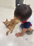 Cat Café MOFF イーアス沖縄豊崎店に投稿された画像（2025/10/3）