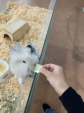 いきもの探検隊上尾に投稿された画像（2025/10/3）