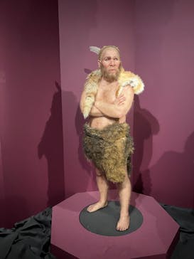 特別展「氷河期展 〜人類が見た4万年前の世界〜」（国立科学博物館）に投稿された画像（2025/10/3）