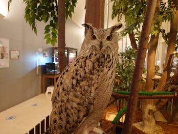 Moff animal cafe イオンモール幕張新都心店に投稿された画像（2025/10/3）