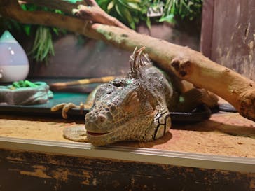 Moff animal cafe イオンモール幕張新都心店に投稿された画像（2025/10/3）