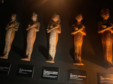 MYSTERY OF TUTANKHAMEN 体感型古代エジプト展に投稿された画像（2025/10/3）