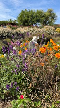 ニューヨークランプミュージアム＆フラワーガーデンに投稿された画像（2025/10/3）