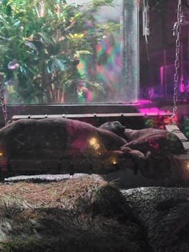 サンシャイン水族館に投稿された画像（2025/10/3）