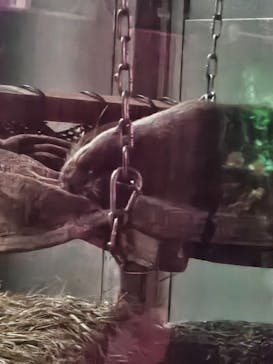 サンシャイン水族館に投稿された画像（2025/10/3）