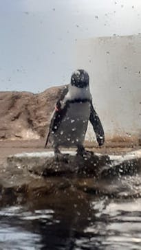 マクセル アクアパーク品川に投稿された画像（2025/10/3）