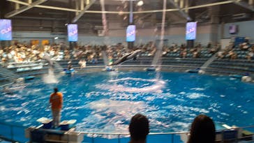 マクセル アクアパーク品川に投稿された画像（2025/10/3）