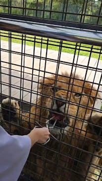 那須サファリパークに投稿された画像（2025/10/3）