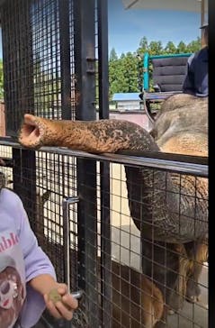 那須サファリパークに投稿された画像（2025/10/3）