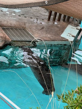 恩賜上野動物園に投稿された画像（2025/10/3）