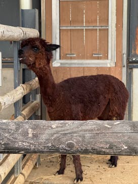 恩賜上野動物園に投稿された画像（2025/10/3）