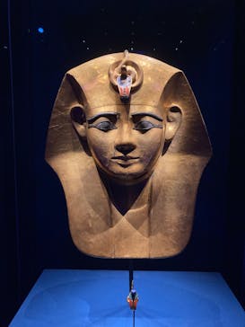 ACN ラムセス大王展 ファラオたちの黄金に投稿された画像（2025/10/3）