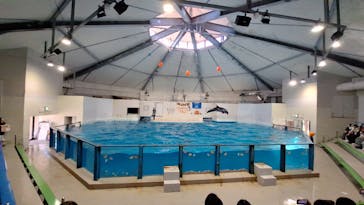 登別マリンパークニクスに投稿された画像（2025/10/3）