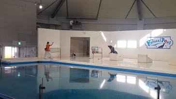 登別マリンパークニクスに投稿された画像（2025/10/3）