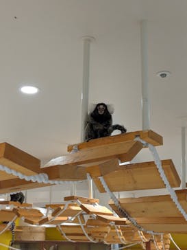 アニタッチ 東京ドームシティに投稿された画像（2025/10/3）