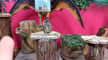 アニタッチ 東京ドームシティに投稿された画像（2025/10/3）