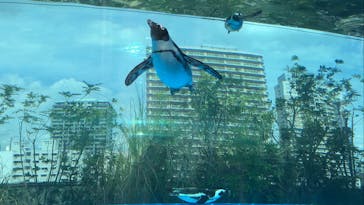 サンシャイン水族館に投稿された画像（2025/10/3）