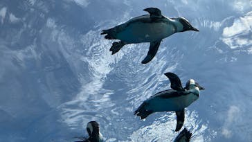 サンシャイン水族館に投稿された画像（2025/10/3）