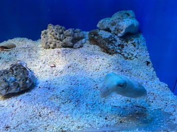 サンシャイン水族館に投稿された画像（2025/10/3）