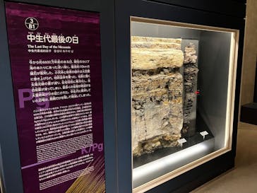 国立科学博物館に投稿された画像（2025/10/3）