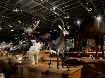 国立科学博物館に投稿された画像（2025/10/3）