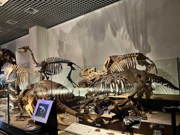 国立科学博物館に投稿された画像（2025/10/3）