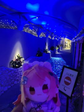 サンシャイン水族館に投稿された画像（2025/10/3）