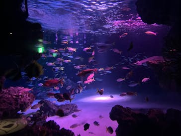 サンシャイン水族館に投稿された画像（2025/10/3）