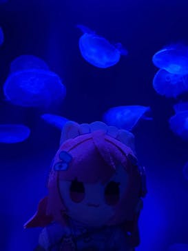 サンシャイン水族館に投稿された画像（2025/10/3）