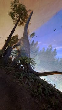 福井県立恐竜博物館に投稿された画像（2025/10/3）