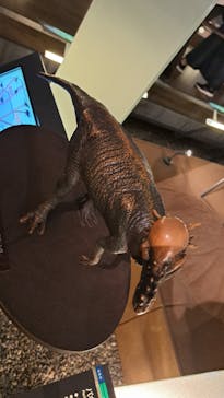 福井県立恐竜博物館に投稿された画像（2025/10/3）