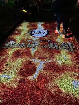 ニジゲンノモリに投稿された画像（2025/10/3）