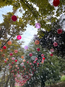 ムーミンバレーパークに投稿された画像（2025/10/3）