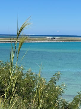 BLAHAV151（ブラハヴ151）に投稿された画像（2025/10/3）